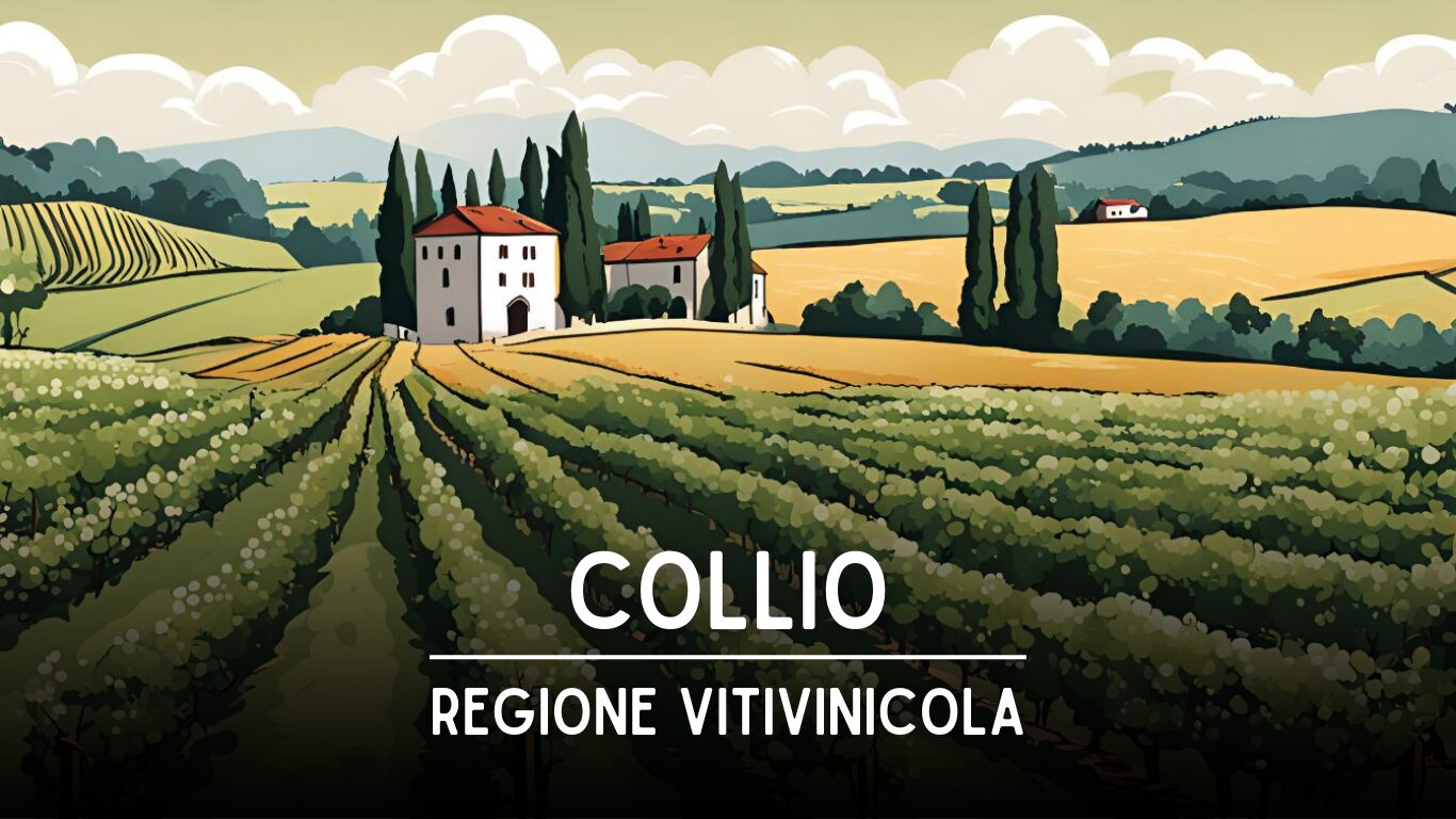 collio vini