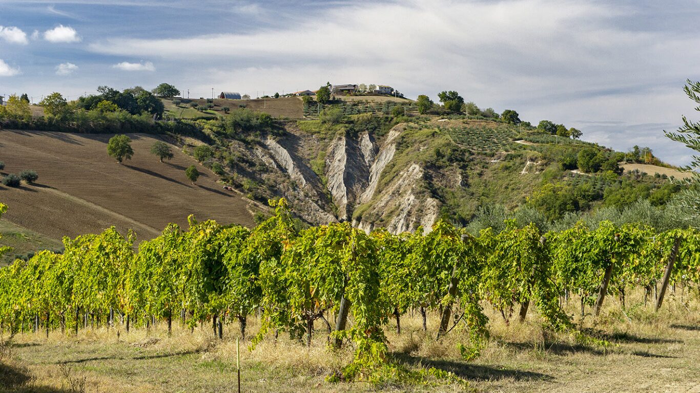 Colline Teramane vini