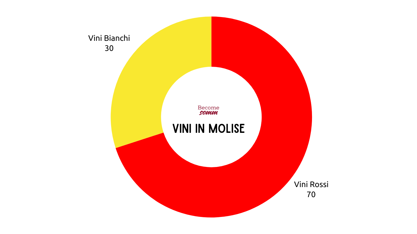 VINI MOLISE