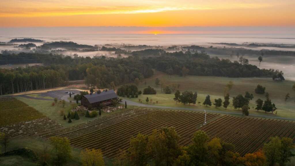 charlottesville wine vineyards