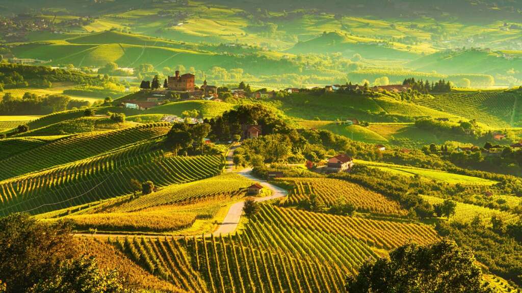 cantine da visitare nelle langhe