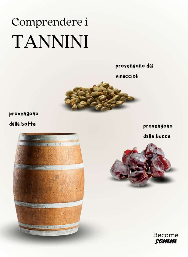 tannini vino