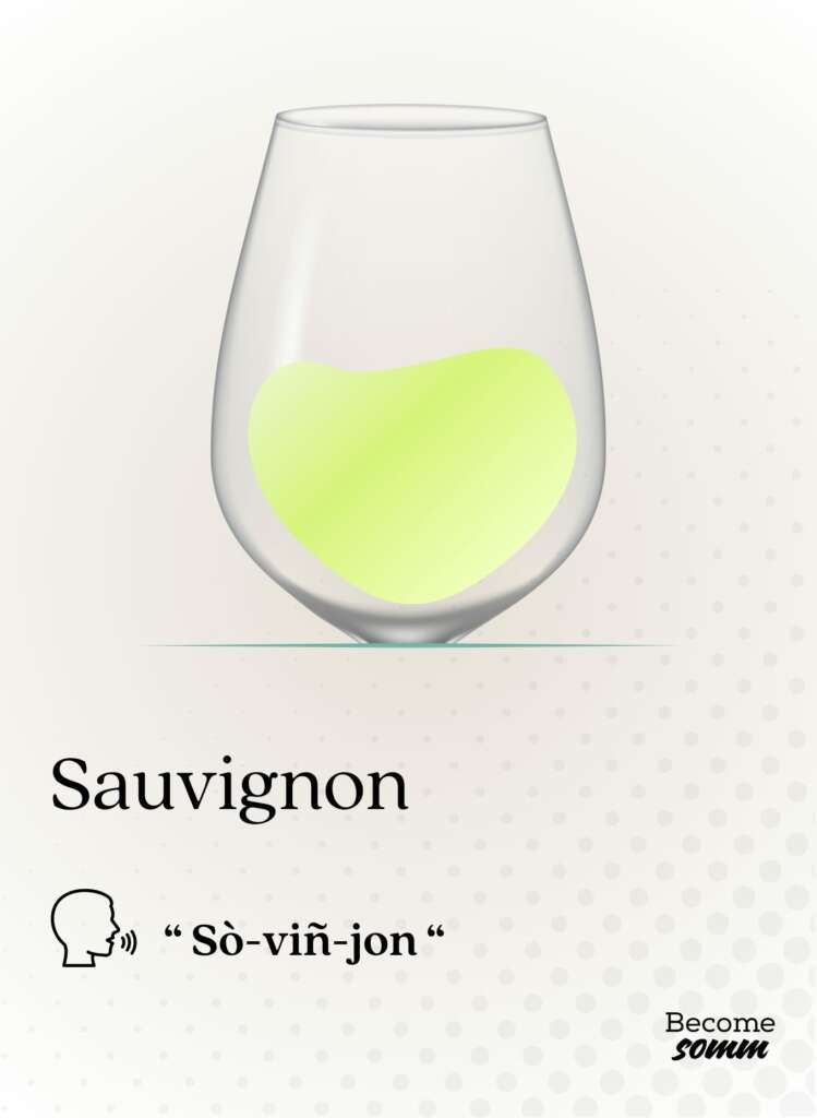 sauvignon