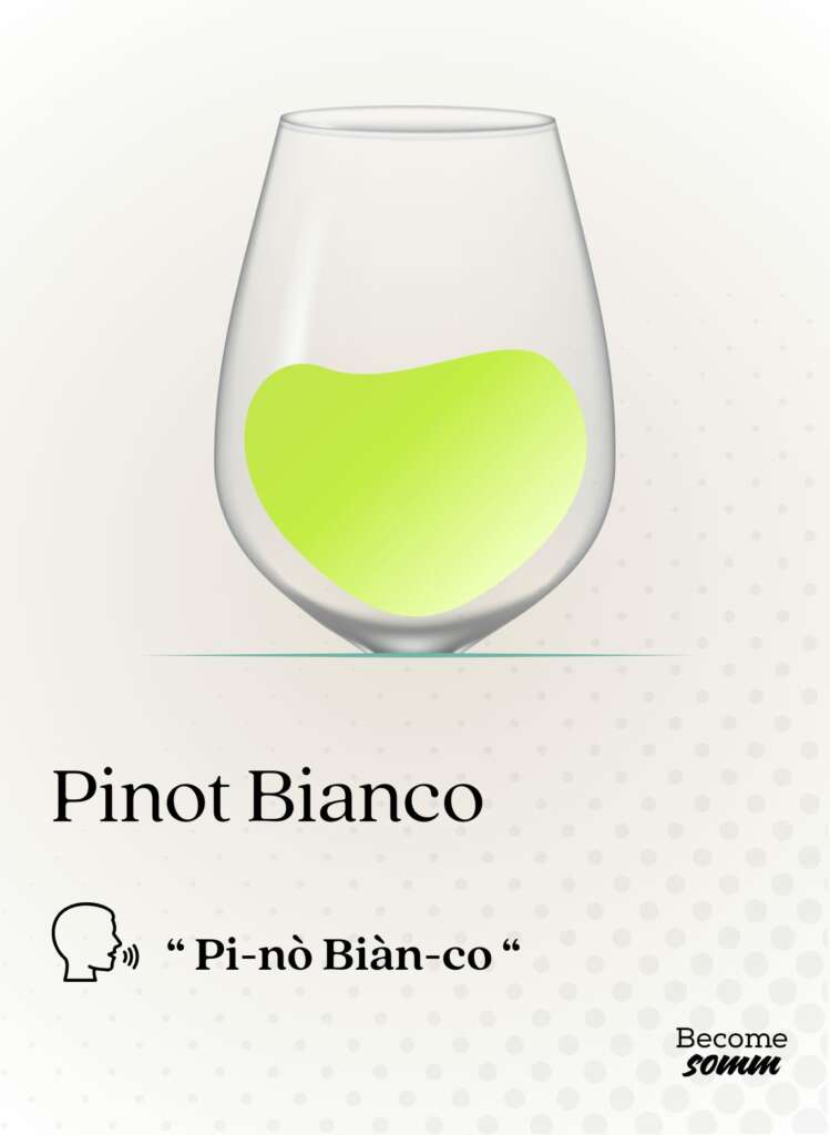 Pinot Bianco