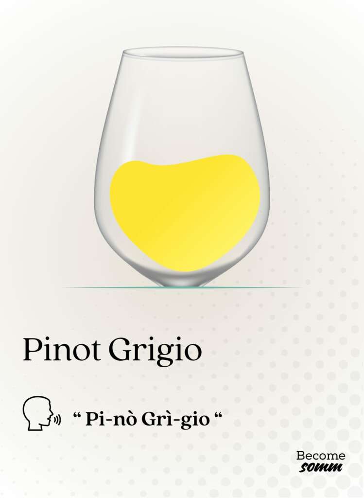 pinot grigio