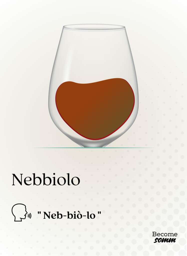 nebbiolo