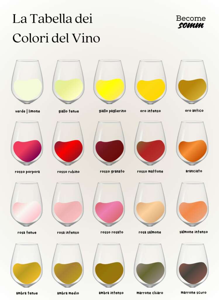 i colori del vino