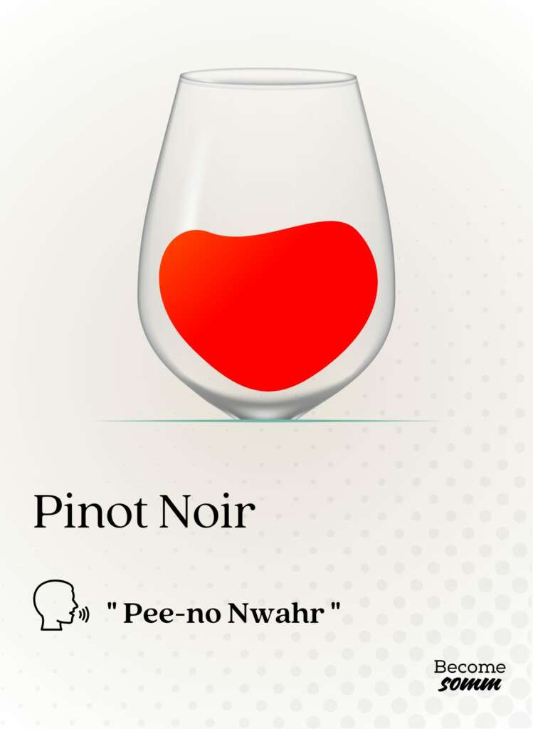 pinot nero