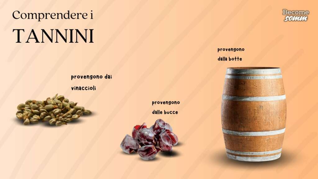 tannini vino