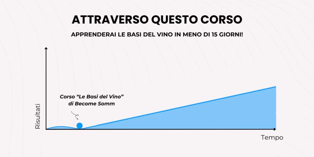 Le-basi-del-vino-become-somm-corso-online