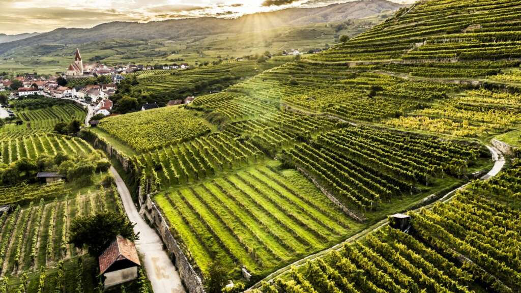 Wachau 