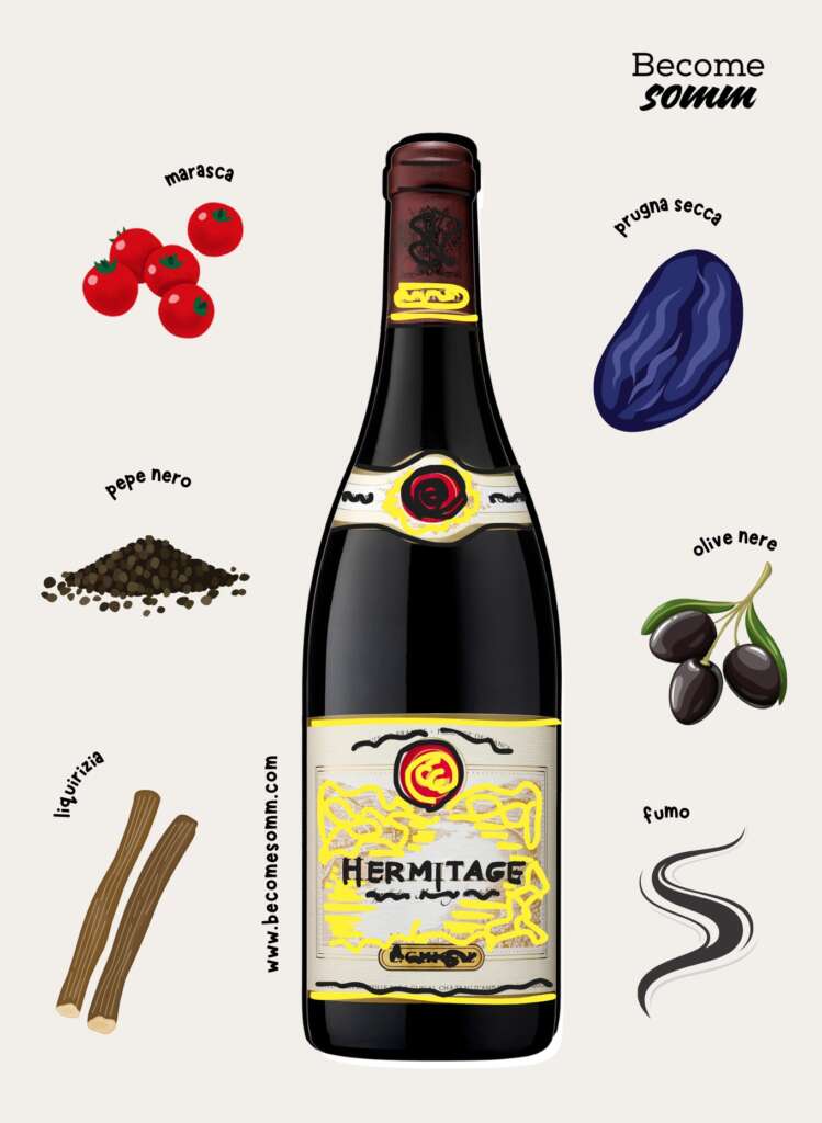 syrah rodano hermitage